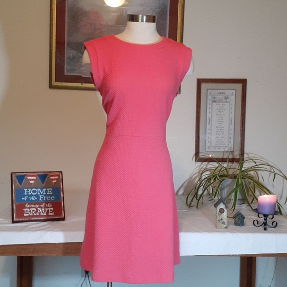 LOFT Dresses & Skirts - Dress, LOFT solid pink, 10, Textured Fit & Flare